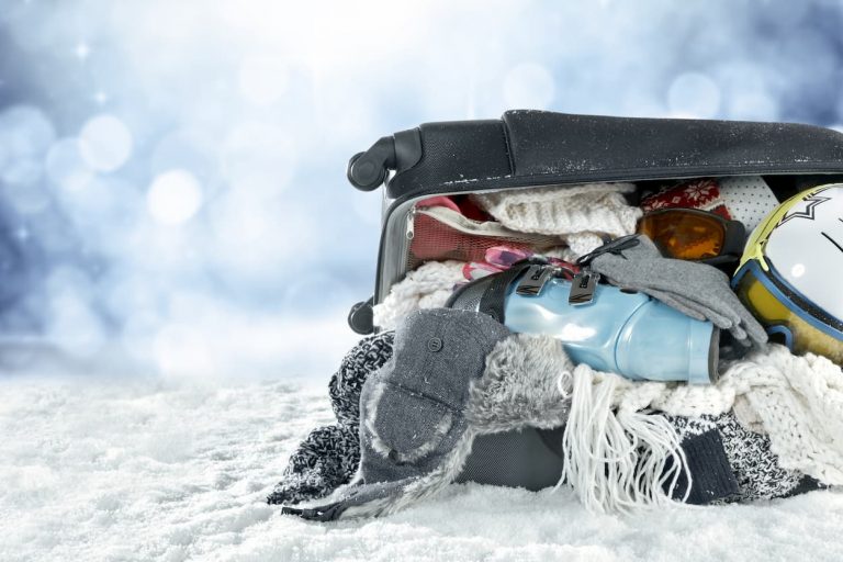 valise ski