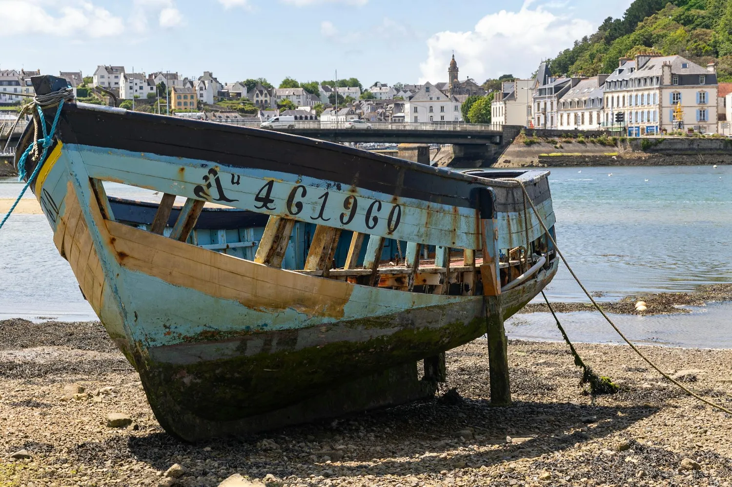 Le Finn, ce bateau de légende qui a forgé des champions